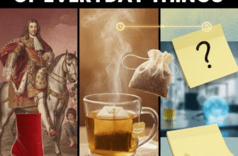 High Heels & Tea Bags: The Secret History of Everyday Objects